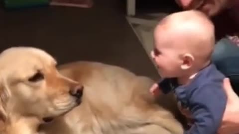 funny cute baby moments with cute puppy #shorts