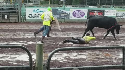 Paniolo Rodeo