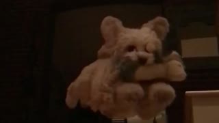 Small white dog jumps down stairs with toy in mouth