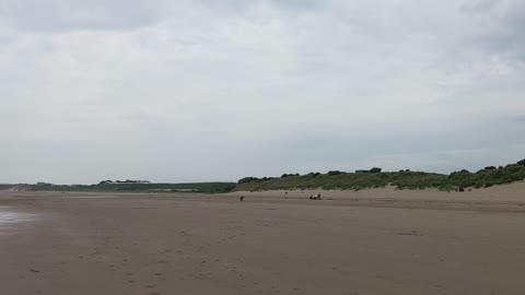 Lunan Bay, Scotland