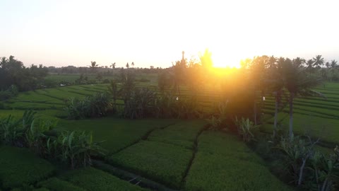 Sunset Over Indonesian Farmland