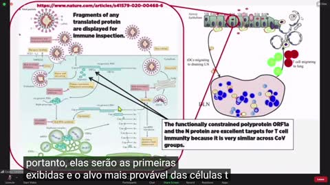 As verdades sobre Sars-CoV-2 e as vacinas de mRNA