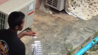 Man Coaxes Cobra into Bottle