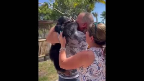 Emotional Chimpanzees Reunited With Owners After Years