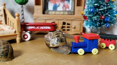 Cute Snail Loves His Toy Train From Santa | cute animal video