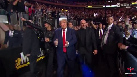 Trump Enters UFC 295 Tonight w/ Dana White, Kid Rock, & Tucker Carlson 👀