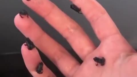 TADPOLES