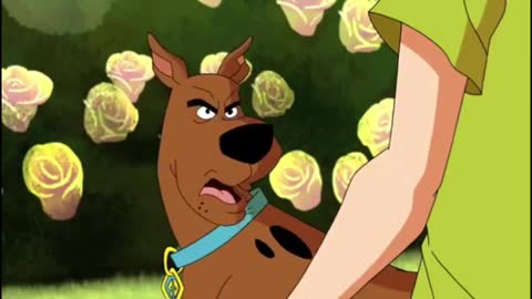 Scooby-Doo cartoon