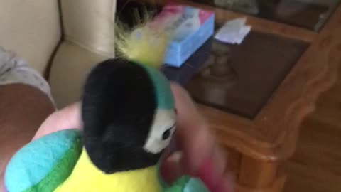 The Donald aka Donald Trump if he were this stuffed talking parrot