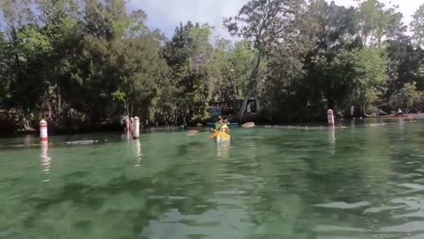 KAYAK TRIP FROM HUNTER SPRING PARK TO 3 SISTERS SPRING IN CRYSTAL RIVER FLORIDA