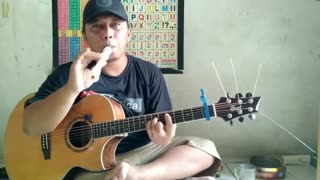 Alip Bata In Action My Heart Will Go On Celine Dion fingerstyle cover