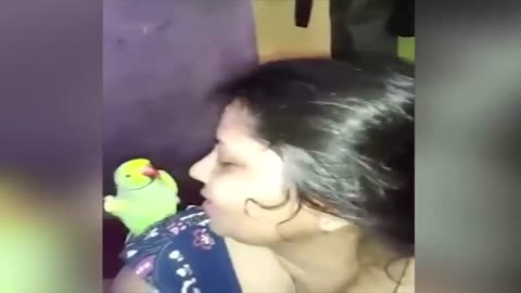 Watch Parrot Talking and kissing the Owner