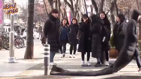 Top viral korean pranks