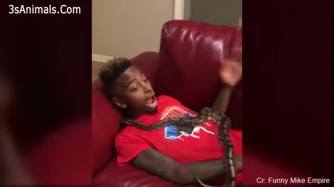 How to react when you have a snake on your body