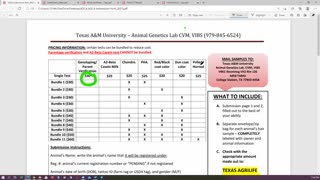 TAMU genetic testing prep for Dexter Cattle