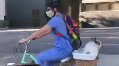 Nurse and puppy biking to work