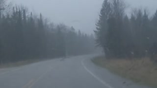 Storm driving