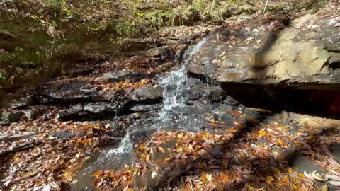Alum Hollow Trail - Green Mountain Nature Preserve