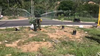 Con siembra de árboles y limpieza de quebrada se celebró el día mundial del medio ambiente