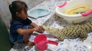 Crocodile Gets Cleaned