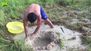 Amazing Smart Boy Deep Bamboo Hole Catch A Lot Of Crabs