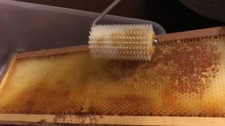 S2E30. May 27, 2019 A little honey extraction!