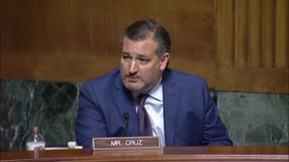 Ted Cruz EVISCERATES Dem Gun Grabbing Laws in Senate Hearing