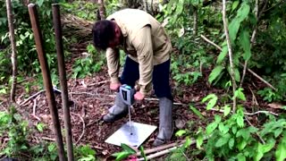 Chopping trees to count carbon in the Amazon