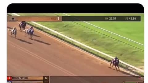 Horse Named 'Heavenly Trump' Wins at After Lead Horse Hits the Rail and Jockey Flips Onto Track