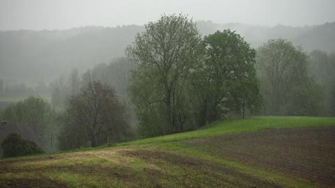 Sound of rain, with thunder