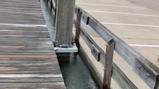 Kemah Marina Rising Waters 1