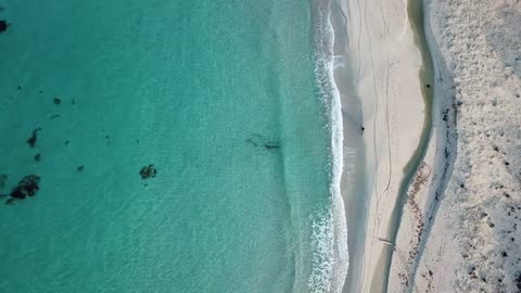 People cycling on the beach