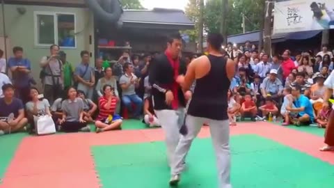 TAEKWONDO VS CAPOEIRA BEST FIGHT | REAL FIGHT