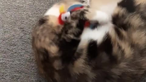 Cute Cat Playing With Bird Doll