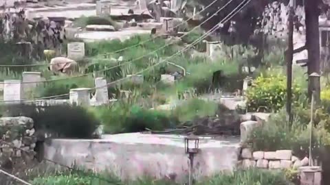 Footage shows the Palestinian gunman opening fire from a cemetery in Hebron