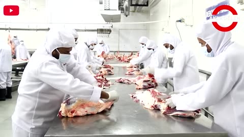 See How the Incredible Buffalo Factory Works - Modern Buffalo Meat Processing Process.