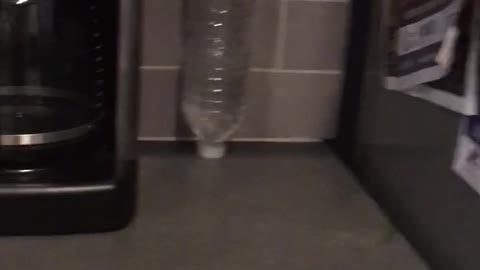 Epic water bottle cap flip