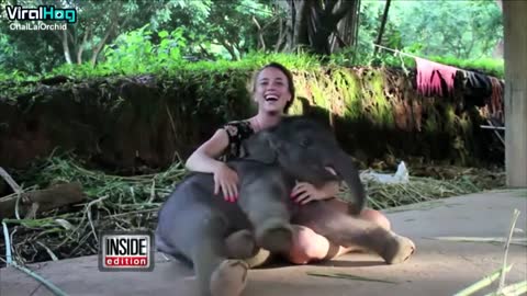 Baby Elephant Gives Caregiver a HUG!