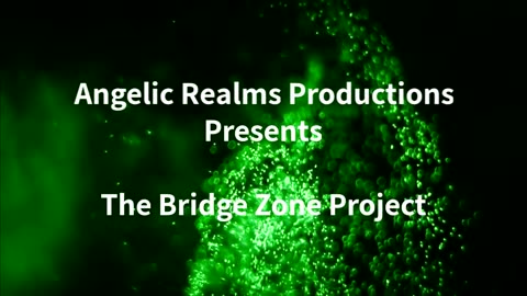 The Bridge Zone Project