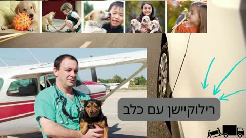 רילוקיישן עם כלב