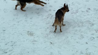 Henry vs Old man who just wants to poop