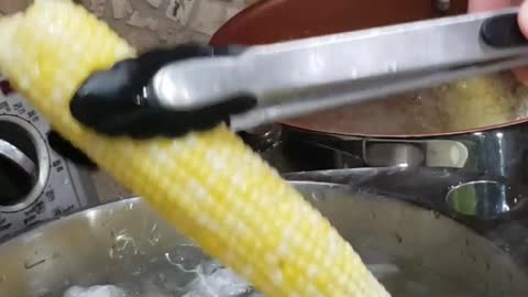 Harvest corn 🌽🌽 in under 40 seconds