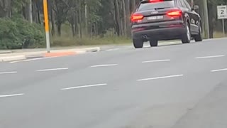 Driver Chooses Odd Spot to Stop for Red Light