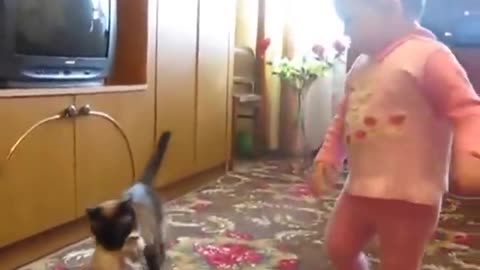 Toddler fights mama cat for kitten