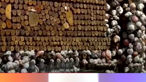 Guy Glues 350,000 Coins To His House