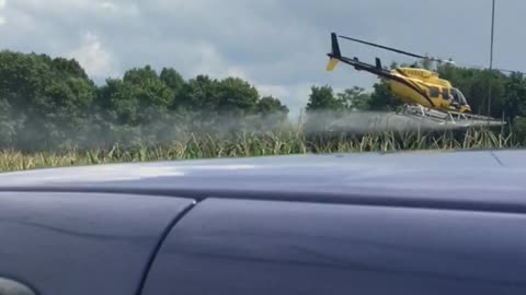 Spraying the corn