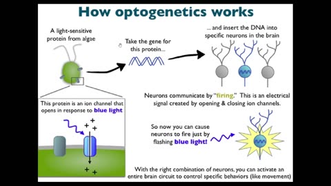 ZOMBIES DEMONS OPTOGENETICS SILENT SOUND SPREAD SPECTRUM 5G & POSSESSED FLATTARDS - King Street News