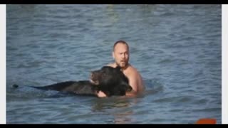 Man Saves A 375 Pound Black Bear From Drowning