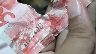 Lady Confronts Her Dog About Suspicious Bite Marks out of a 50-Peso Bill