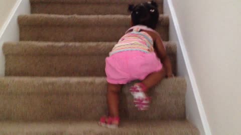 Blasian Baby Sister Climbs Up Stairs!